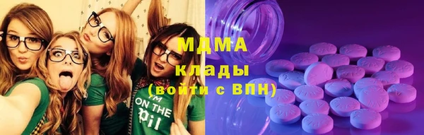 ПСИЛОЦИБИНОВЫЕ ГРИБЫ Новозыбков