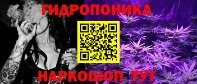 молекула духа Апрелевка