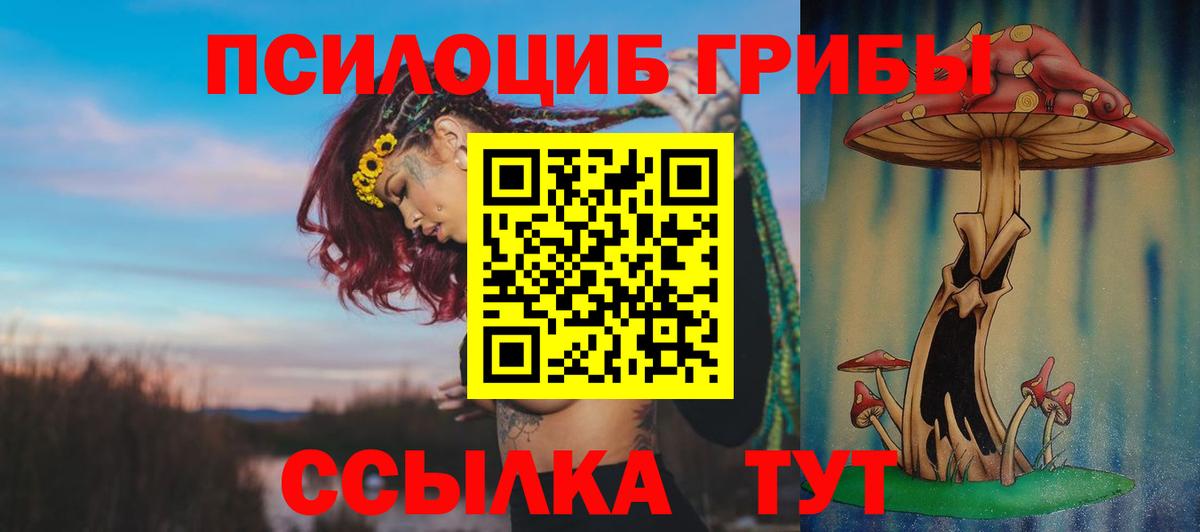 Псилоцибиновые грибы прущие грибы Сибай